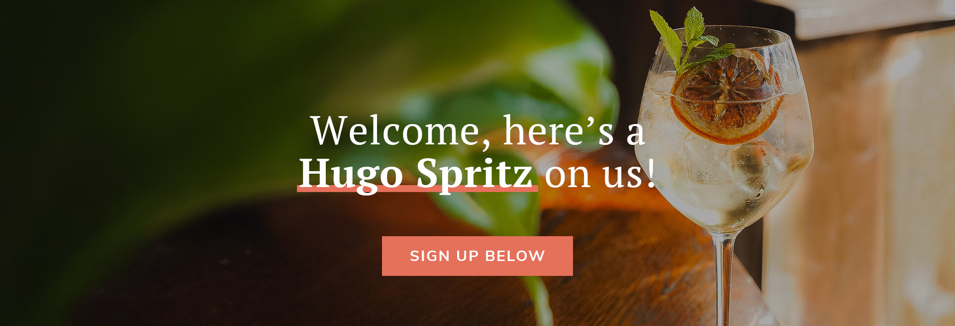 Sign up to the newsletter at The Adelphi